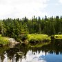 <palign=center> Parc national La Mauricie, derrière le lac Bouchard